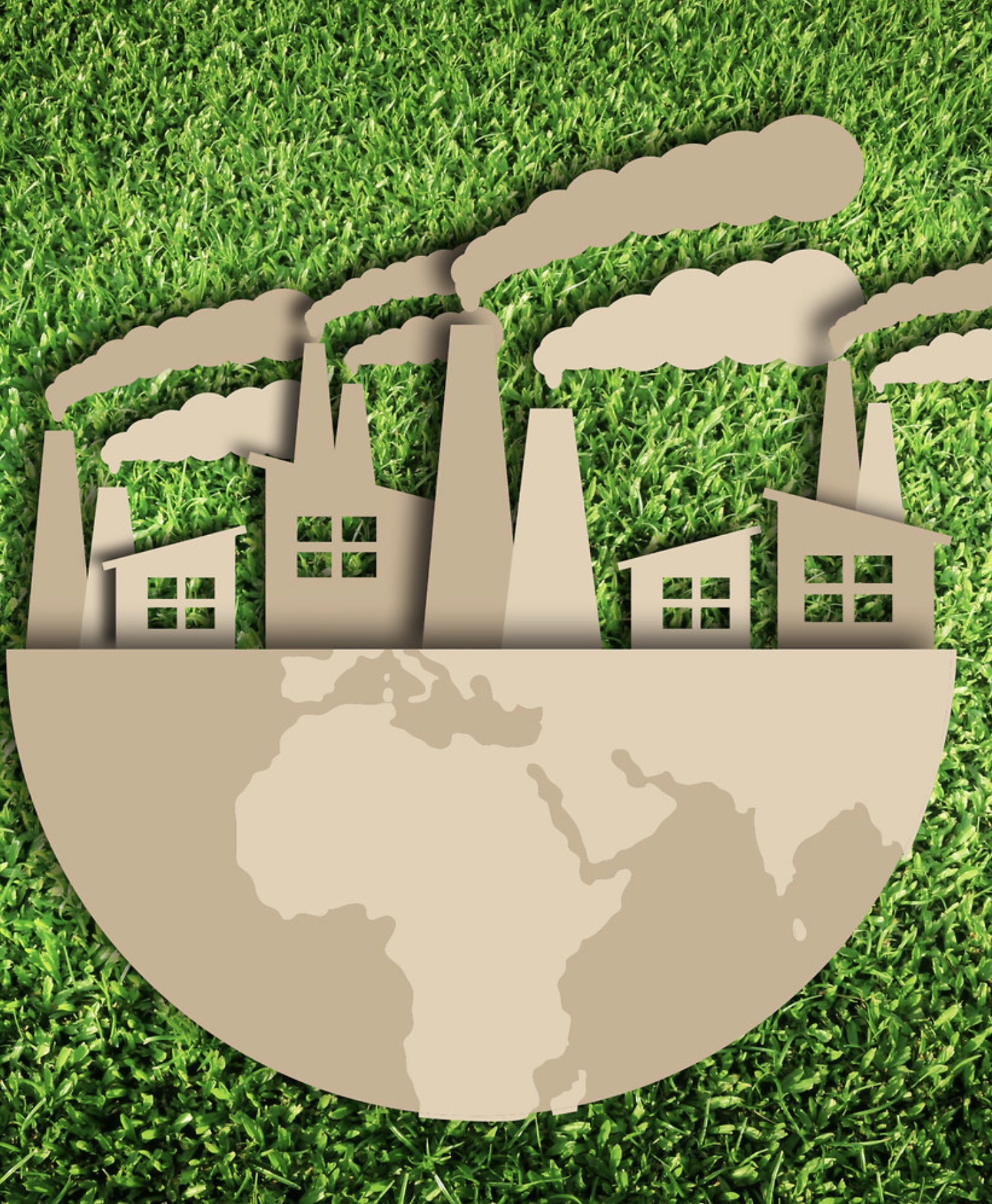Курсы «экология и экологическая безопасность» в Сургуте
